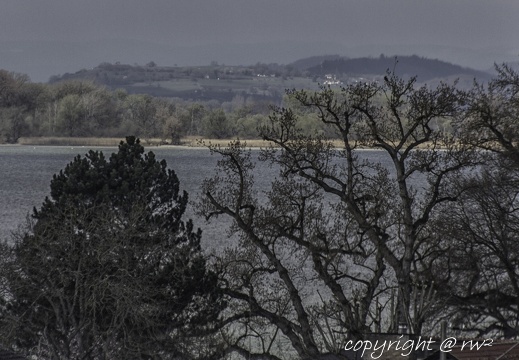 20220403-IMG 9832-Edit