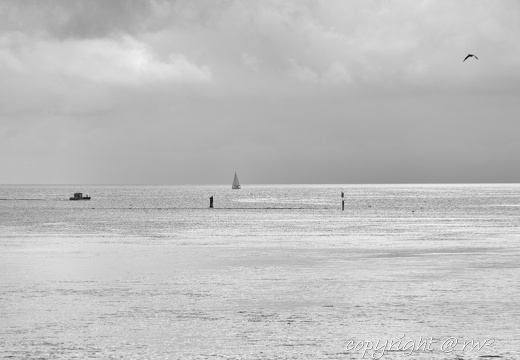 20220613-IMG 0433-Edit