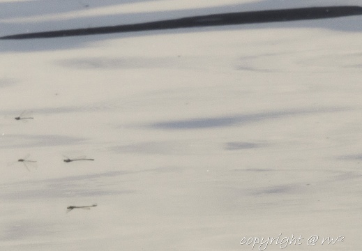 20220713-IMG 0648-Edit