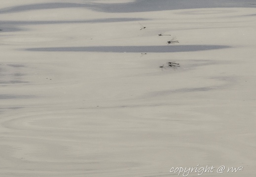 20220713-IMG 0649-Edit